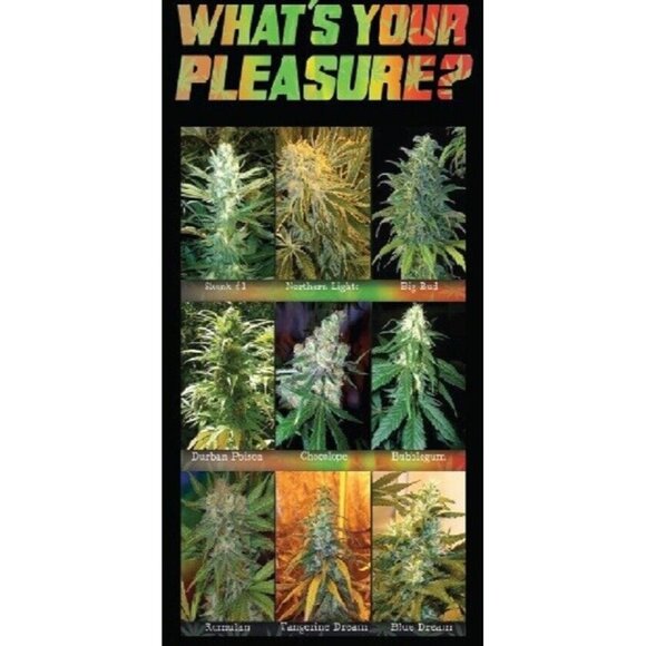 New Beach Bath Pool Gift Towel Pot Leaf Weed Leaves Marijuana Strains Cannabis - Picture 1 of 2